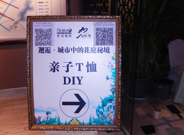 供应常熟diy活动diy草帽活动diy抱枕活动diy变色杯活动