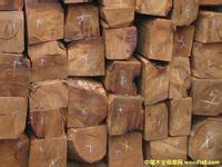 供应宁波进口南美洲原木监管条件图片