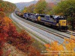 供应青岛国际铁路货代中亚五国代理图片