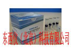 供应禽流感病毒H5亚型试剂盒wi95314