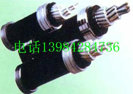 供应额定电压35KV架空绝缘电缆、额定电压35KV架空绝缘电缆厂家