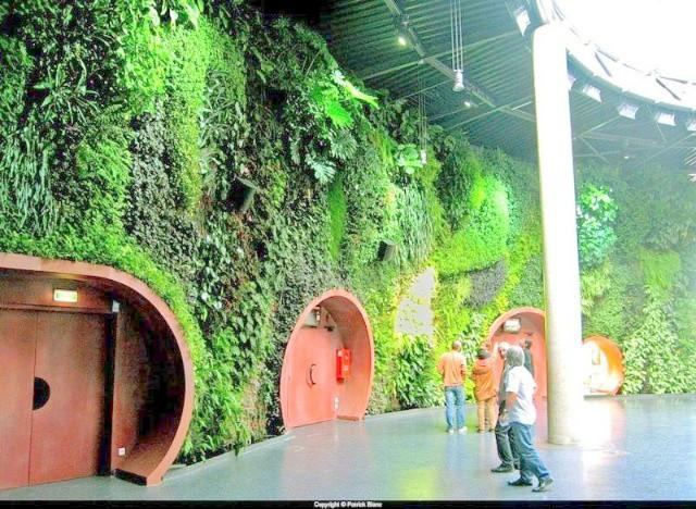 深圳市生态植物墙厂家