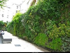 深圳市国内生态植物墙厂家供应国内生态植物墙