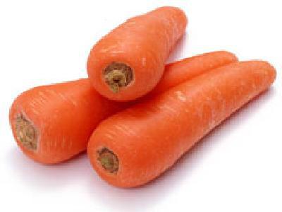 优质红胡萝卜种子供应优质红胡萝卜种子