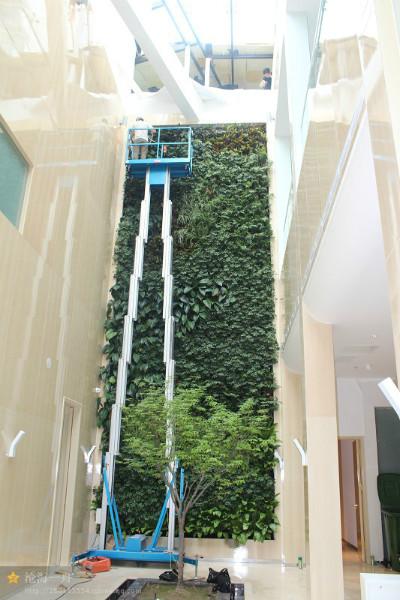 供应墙体立体绿化植物墙，呼和浩特墙体绿化
