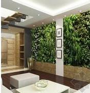 家装绿植植物墙批发