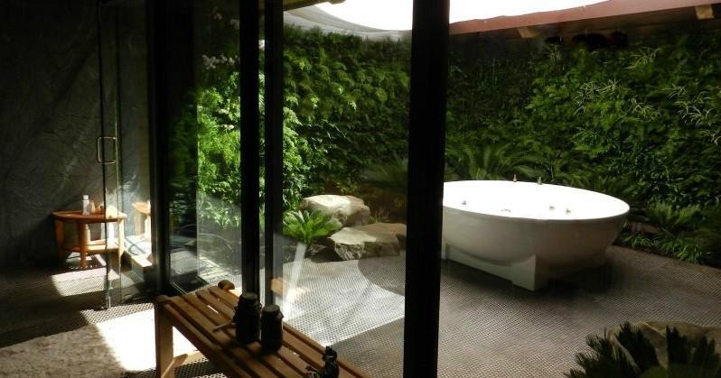 供应内蒙古浴池内部绿化装修植物墙，内蒙古洗浴中心内绿化植物墙