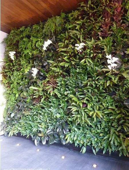供应内蒙古室内植物装修设计植物墙绿化，呼和浩特室内绿化装修