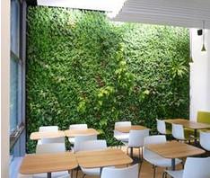 供应内蒙古餐厅装修植物墙设计，内蒙古餐厅装修植物施工
