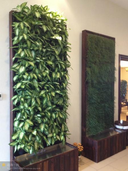 供应呼和浩特室内外垂直绿化专业设计，呼和浩特室内外垂直绿化墙体植物