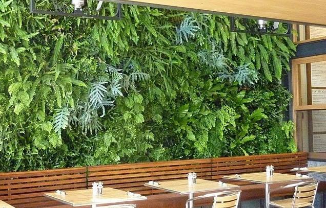 供应呼和浩特主题餐厅装修植物墙图片，呼和浩特主题餐厅装修植物墙样板图片