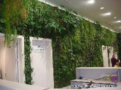 鄂尔多斯室内植物墙安装，鄂尔多斯室内植物墙价格，