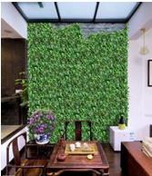 供应内蒙古家装绿植植物墙样板，内蒙古家装绿植植物墙图片