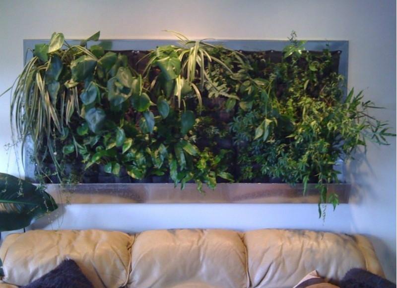 供应内蒙室内外垂直绿化墙体植物，内蒙室内外垂直绿化工程装修
