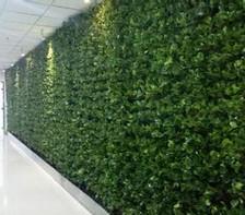 供应屋顶绿化植物墙，屋顶阳台垂直绿化植物墙体，环保装修