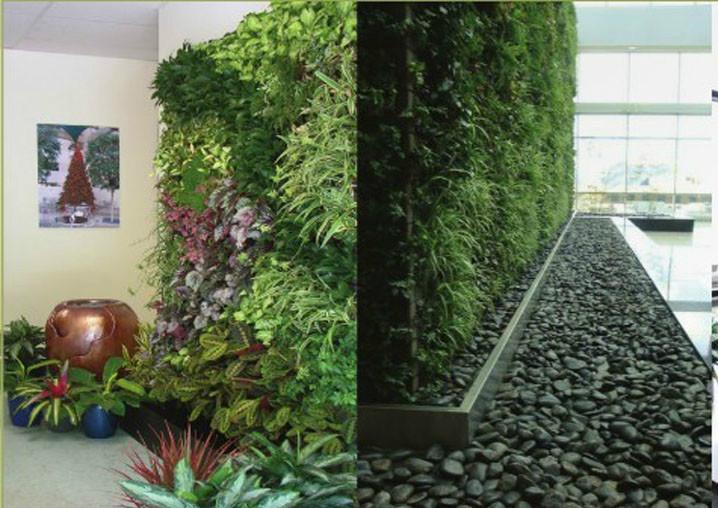 供应长沙生态植物墙安装，长沙室内外垂直生态植物墙设计图片