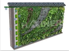 供应植物墙，植物墙设计，施工植物墙，垂直植物墙，立体植物墙