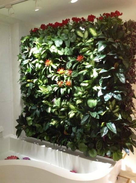 北京市室内植物墙厂家供应室内植物墙厂家，室内植物墙安装，室内植物墙设计