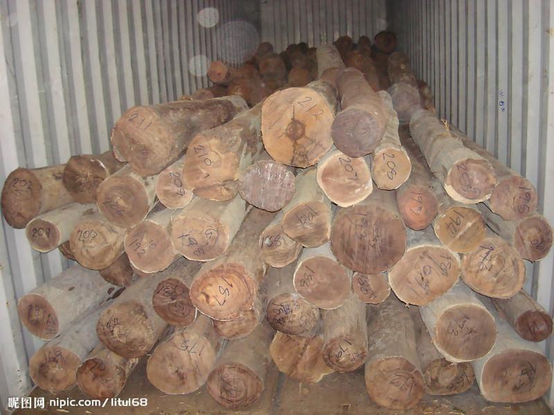 供应木材进口清关，加拿大木材进口,哥伦比亚木材包税进口清关图片