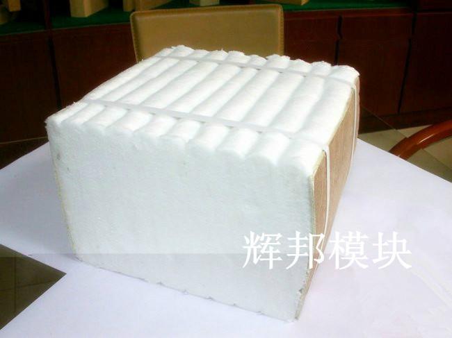 供应陶瓷纤维模块-钢包盖保温设计施工专用