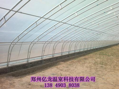 供应开封新型几字钢温室建造 郑州钢架蔬菜大棚建设 图片