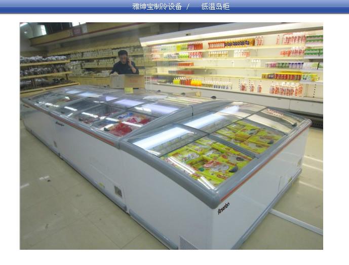 供应佛山雅绅宝低温超市冷冻岛柜 超市里面用来冻包子和饺子的卧式冷冻柜价格是多少钱图片