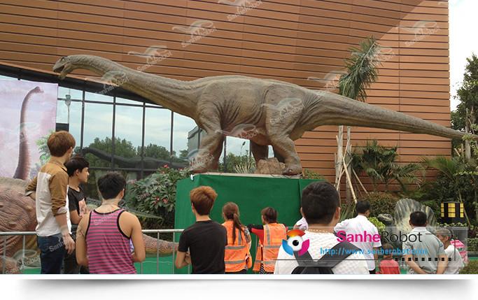 自贡市仿真恐龙模型厂家供应仿真恐龙模型 恐龙制作 恐龙出租 恐龙化石