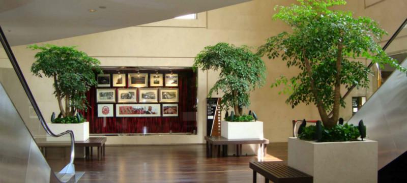 室内景观设计室内景观设计绿化墙 室内景观设计装饰