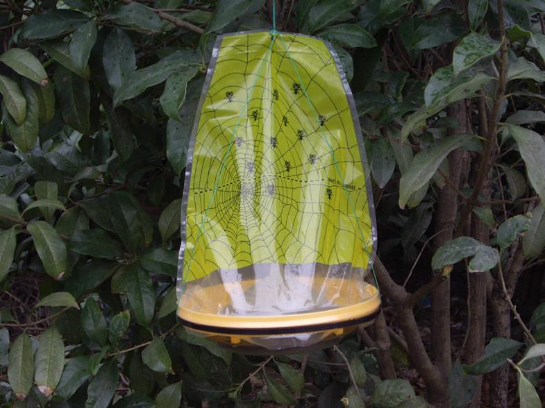 笼式捕蝇器/塑料捕蝇器