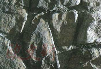烟台砂岩文化石鹅卵石文化砖供应烟台砂岩文化石鹅卵石文化砖