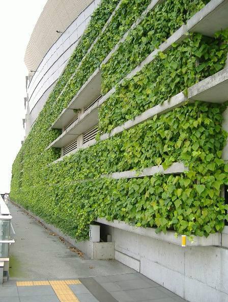 供应东莞墙面立体绿化/屋顶绿化景观/厂区绿化/室内庭院绿化