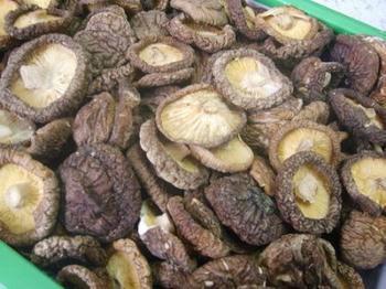 供应优质干草菇一级，干草菇的营养价值