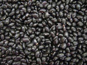 供应黑豆的功效与作用黑豆的营养价值