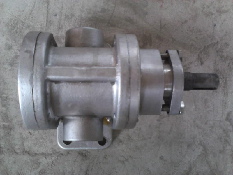 2CY系列不锈钢齿轮泵高压防腐油泵增压食品泵B2CY0.36-60