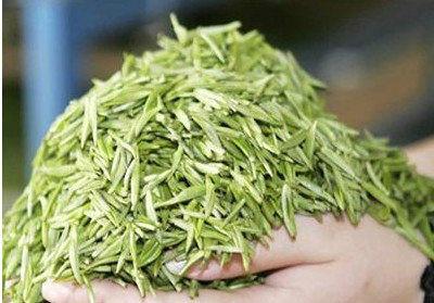 供应 随州芽茶250克 绿茶 有机春芽 针形茶 条形茶