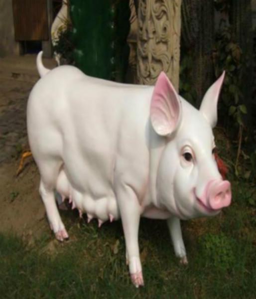 供应玻璃钢动物雕塑厂家，玻璃钢动物雕塑厂家，仿真母猪雕塑