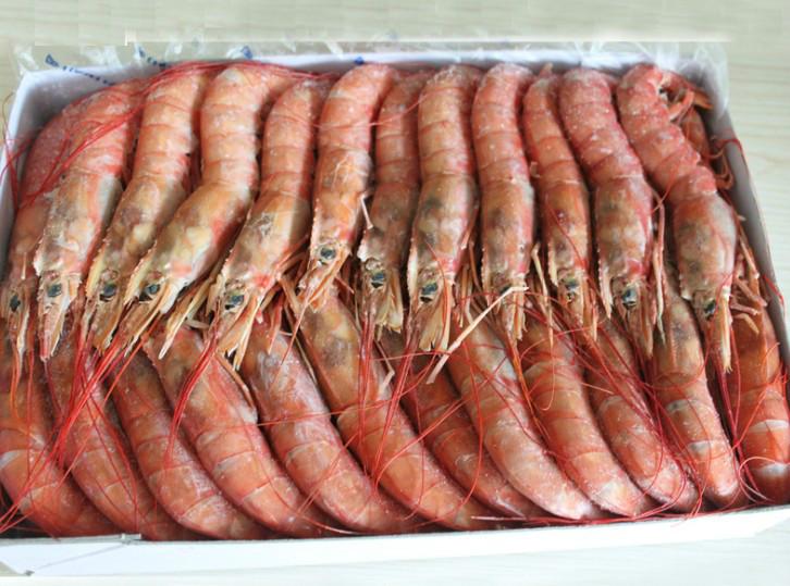 直销进口冷冻红虾 墨鱼 章鱼 松鱼 马加鱼图片