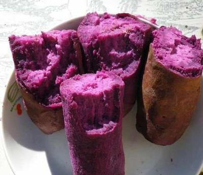 紫甘薯25花青素紫甘薯粉厂家供应批发