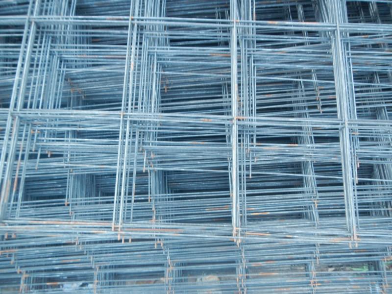 养殖用电焊网不锈钢电焊网安平县杰晨丝网制品有限公司