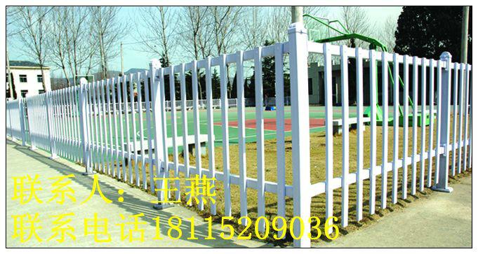 供应上海厂房围墙护栏pvc塑钢TX-B01