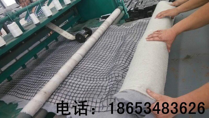 供应山东抗冲绿化毯公司新研发 边坡防护用麻椰固土毯厂家价格低