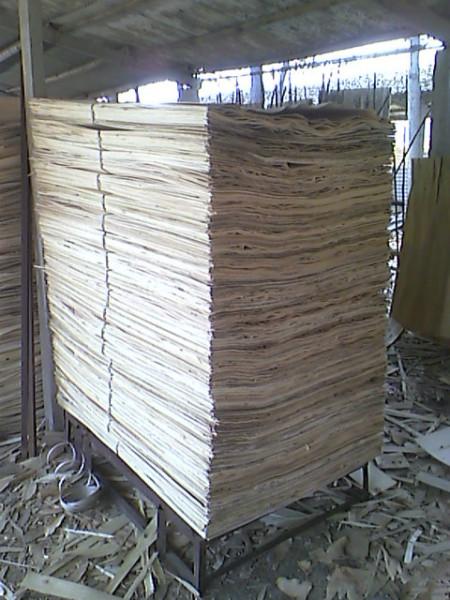 丰县木皮联盟大量供应杨木皮 杨木单板木皮板皮