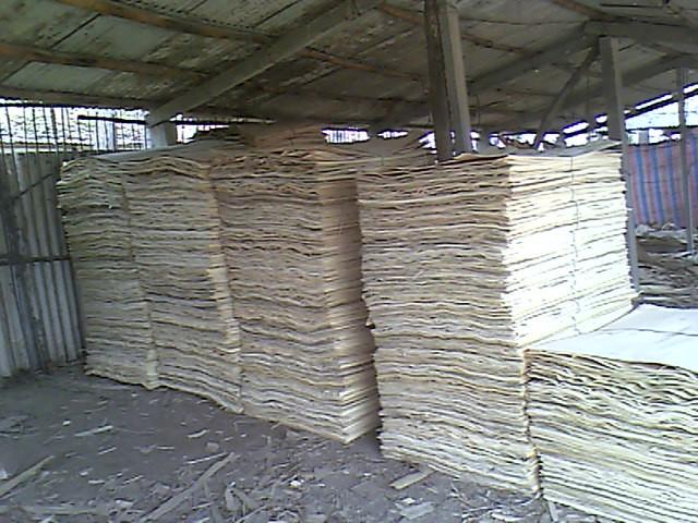 供应大量供应杨木木皮单板洞板面皮