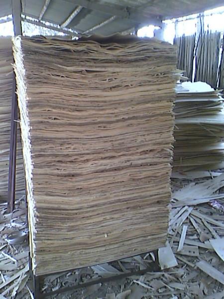 丰县木皮联盟大量供应杨木皮 杨木单板木皮板皮
