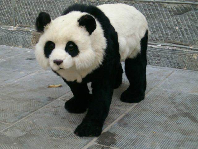 供应照相仿真大熊猫模型展览仿真大熊猫模型标本仿真大熊猫模型厂商