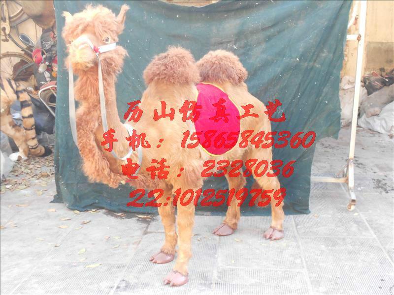 供应仿真照相骆驼厂家，皮毛照相骆驼供应商，能坐人照相骆驼模型