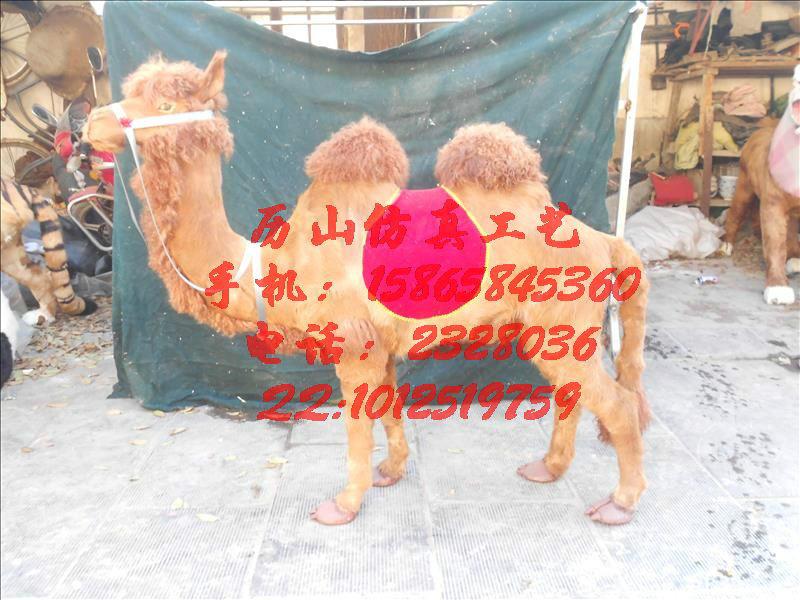 供应仿真照相骆驼厂家，皮毛照相骆驼供应商，能坐人照相骆驼模型