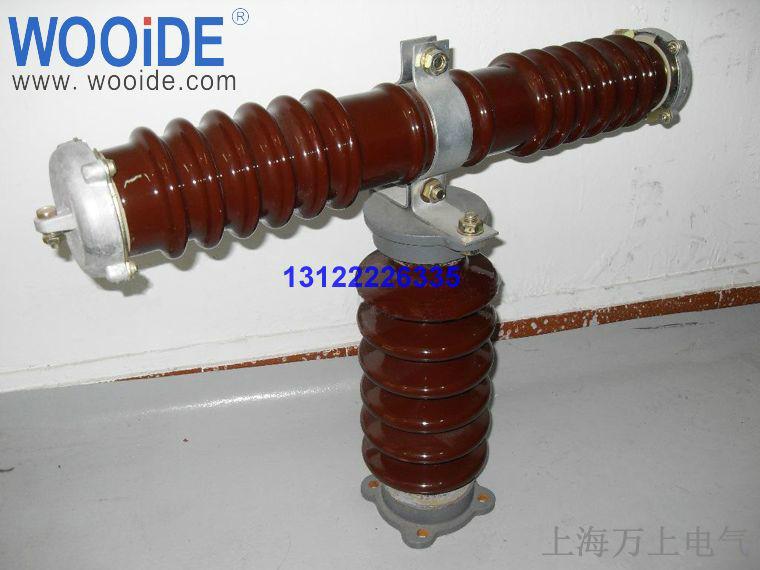 厂家 批发 价格 供应硅橡胶外套户外高压熔断器RXWO  图片图片