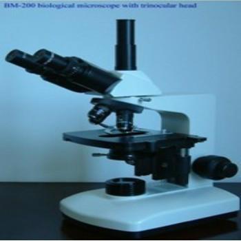 供应BM200生物显微镜细胞观察显微镜动植物标本观察镜图片