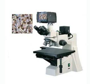 供应大平台金相显微镜数码型大平台金相显微镜显微镜压平器